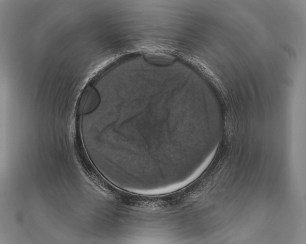 X0000111160488200907281156