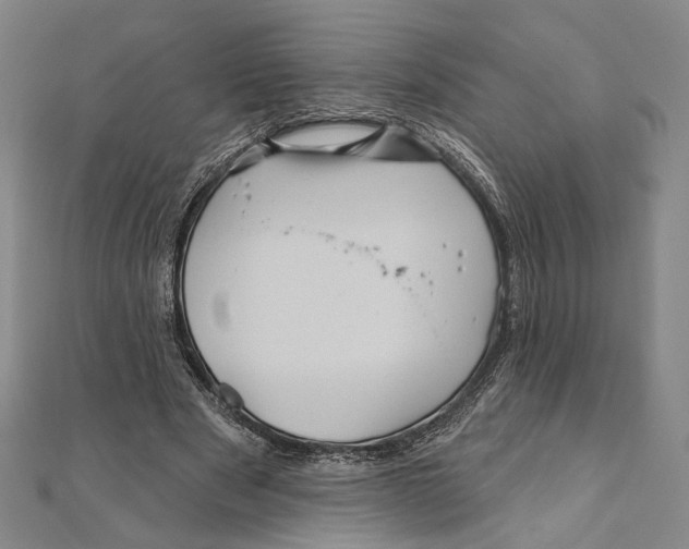 X0000111160489200907281156