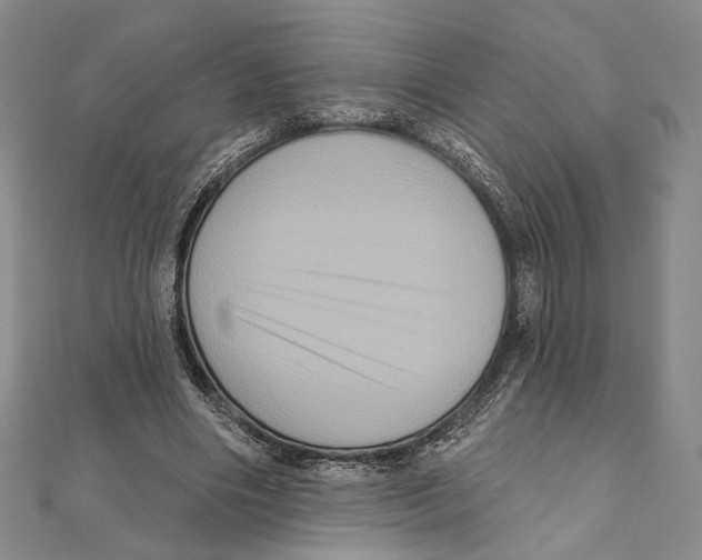 X0000111160490200907281156