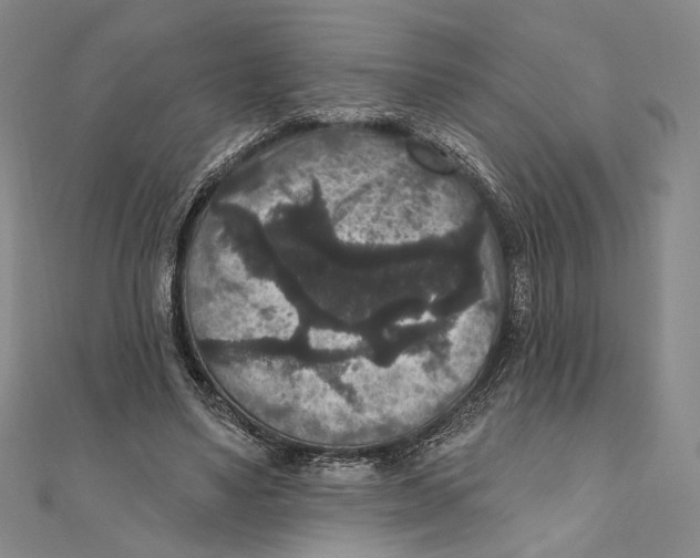 X0000111160491200907281156