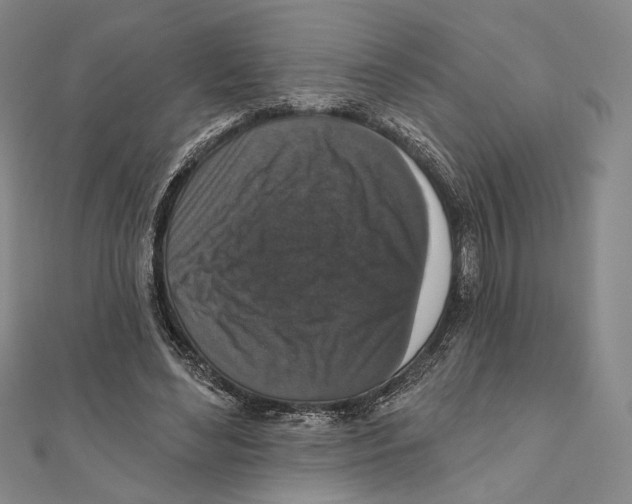 X0000111160492200907281156
