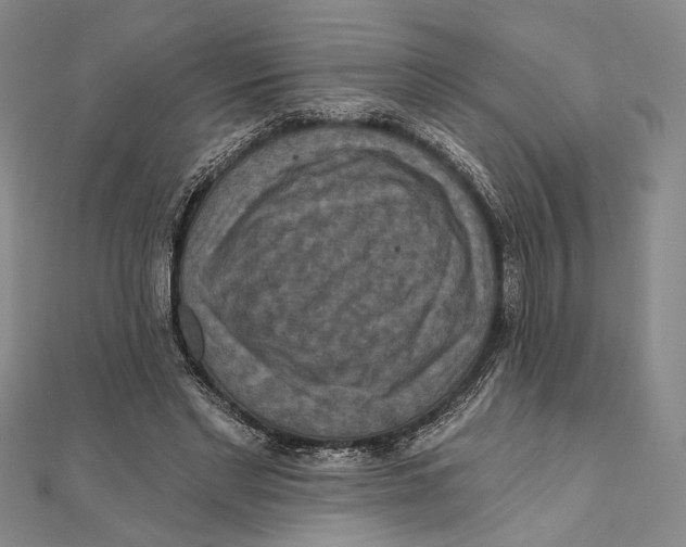 X0000111160493200907281156