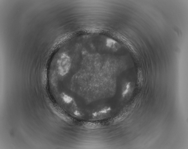 X0000111160494200907281156