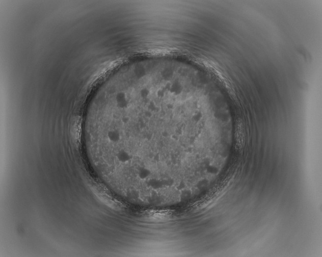 X0000111160495200907281156