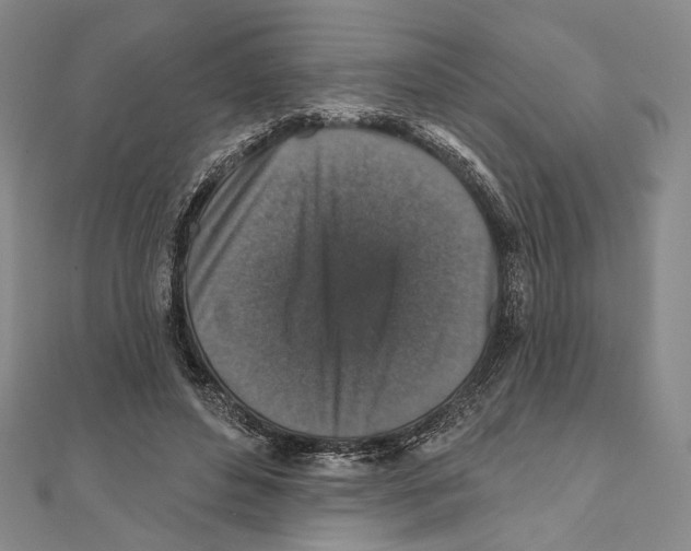 X0000111160496200907281156