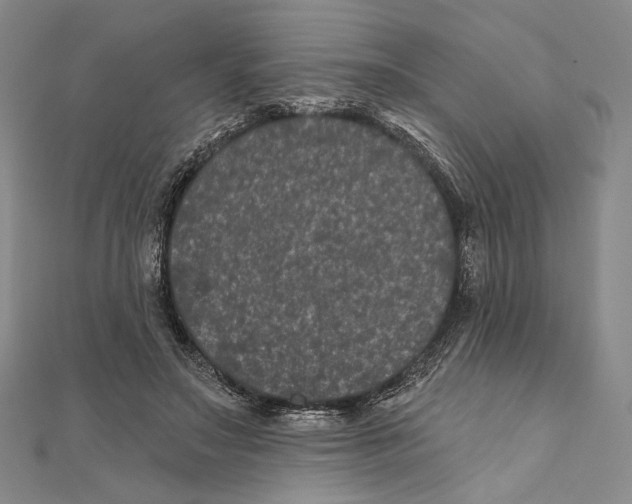 X0000111160499200907281156