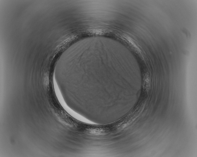 X0000111160500200907281156
