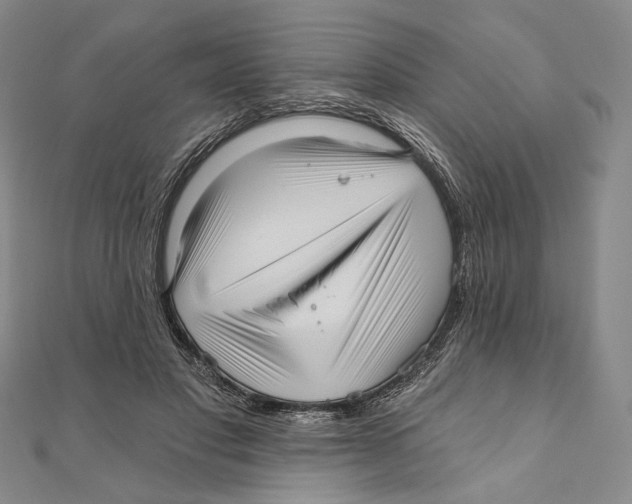 X0000111160501200907281156