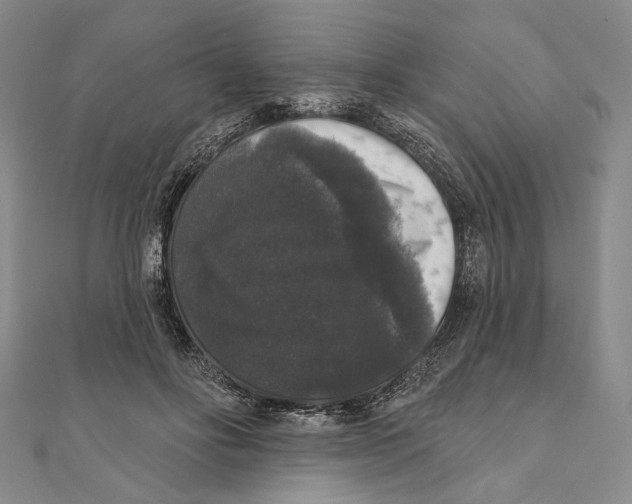 X0000111160502200907281156