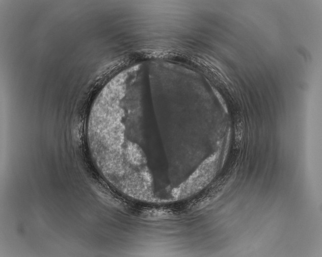 X0000111160503200907281156