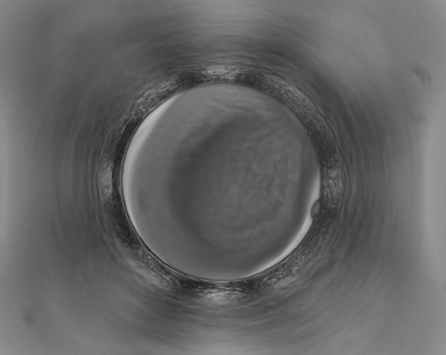 X0000111160504200907281156