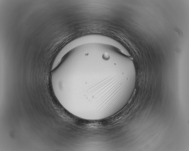 X0000111160505200907281156