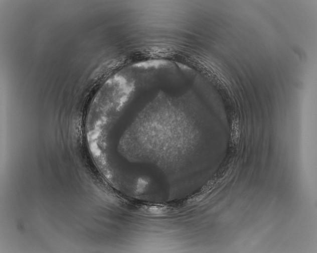 X0000111160506200907281156