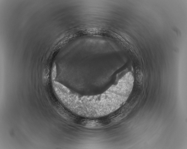 X0000111160507200907281156