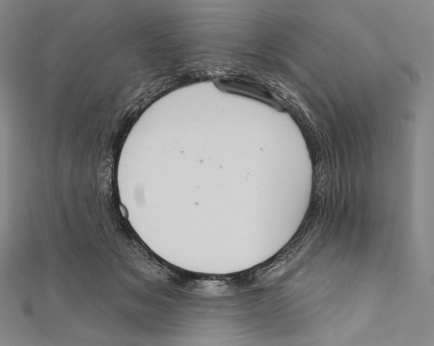 X0000111160509200907281156