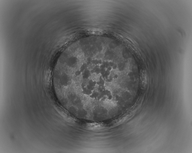 X0000111160511200907281156