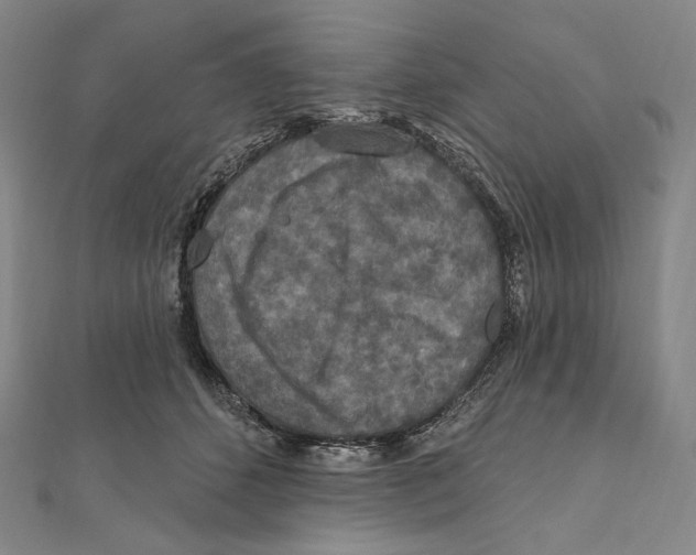 X0000111160512200907281156