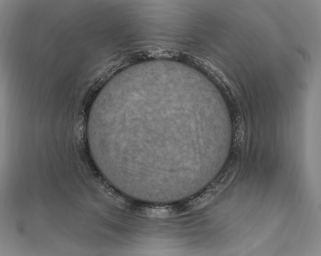 X0000111160513200907281156