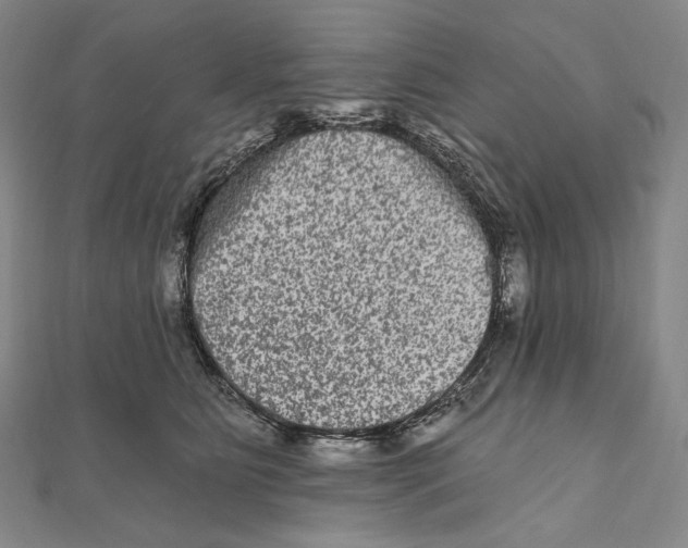 X0000111160515200907281156