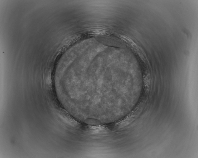 X0000111160516200907281156