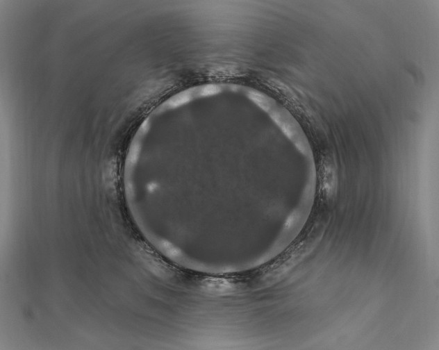 X0000111160519200907281156