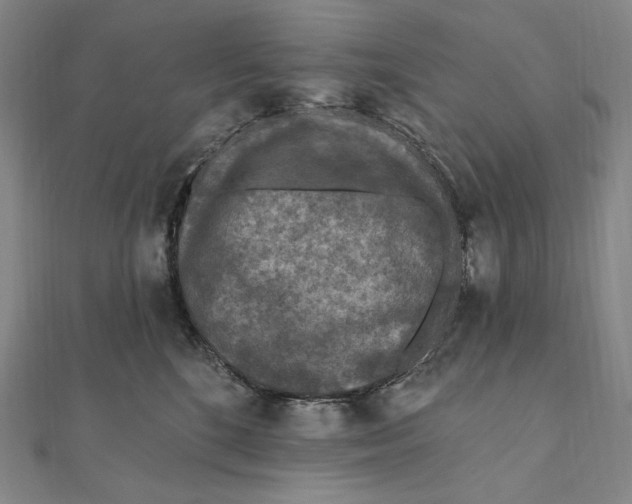 X0000111160520200907281156