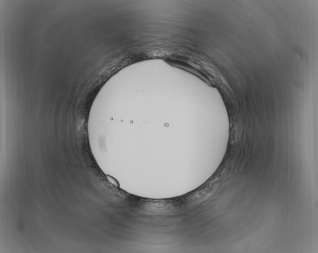 X0000111160521200907281156