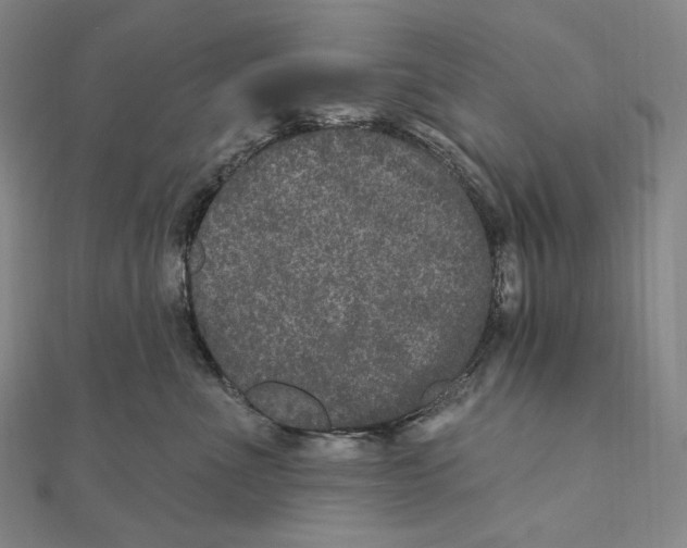 X0000111160523200907281156