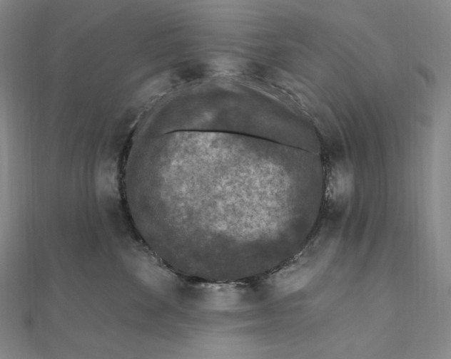 X0000111160524200907281156