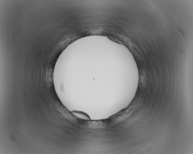 X0000111160525200907281156
