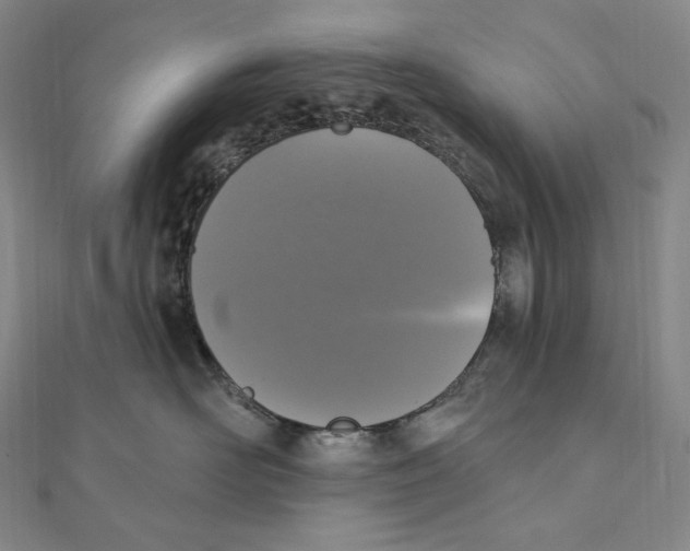 X0000111160526200907281156