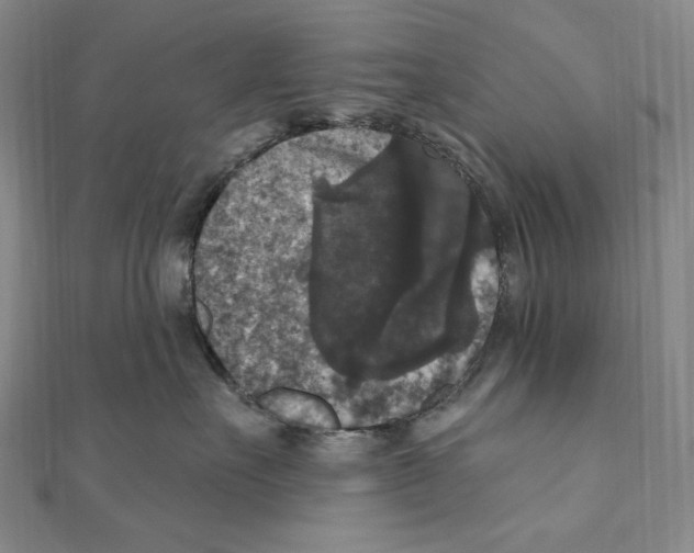 X0000111160527200907281155