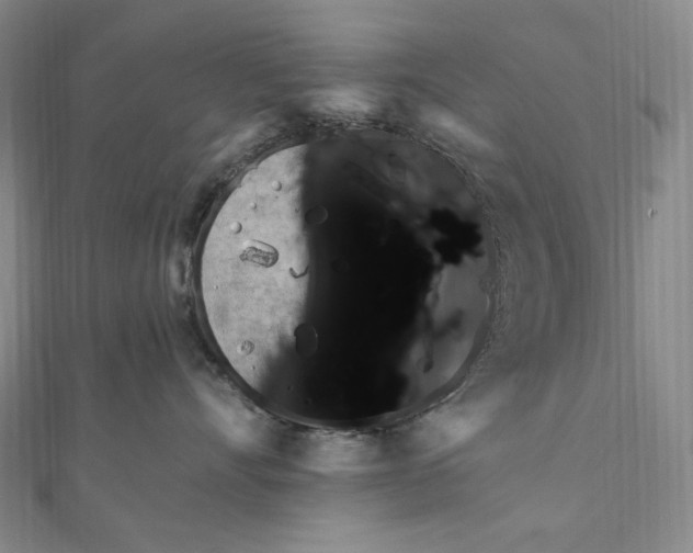 X0000111160528200907281155
