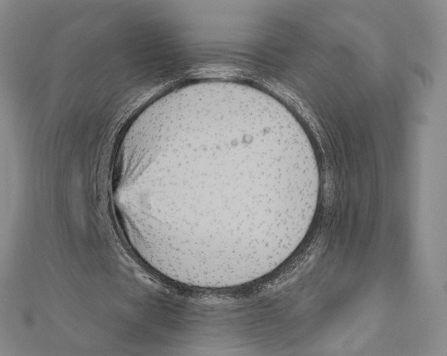 X0000111160529200907281155