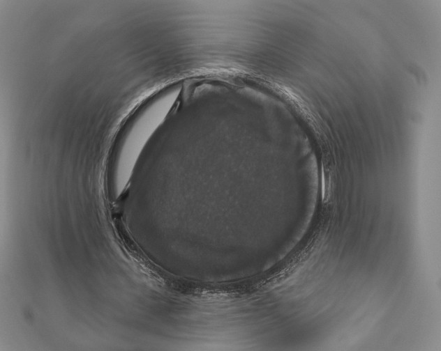 X0000111160531200907281155