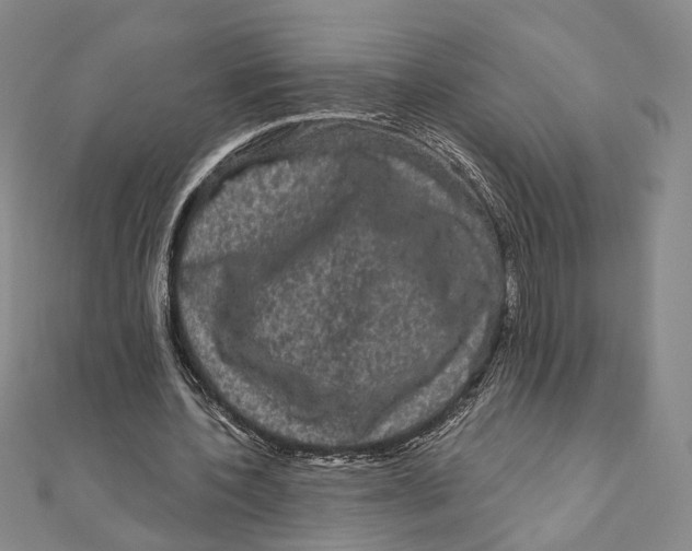 X0000111160532200907281155