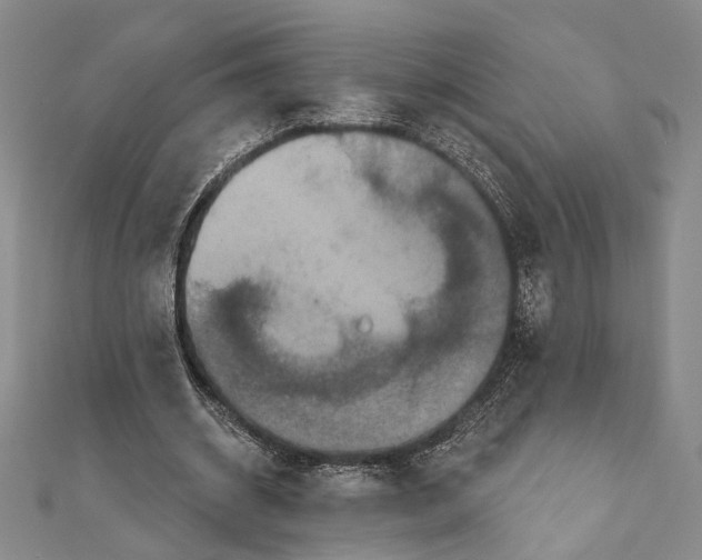 X0000111160534200907281155