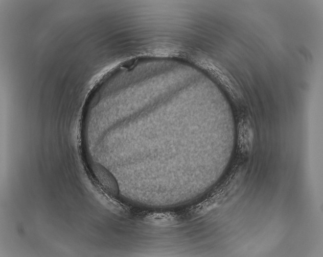 X0000111160536200907281155