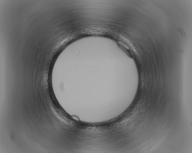 X0000111160538200907281155