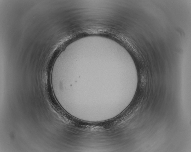 X0000111160539200907281155