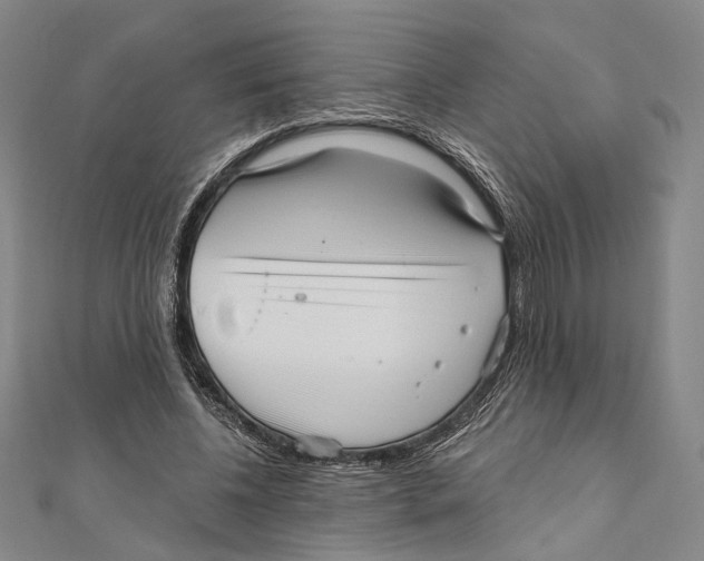 X0000111160540200907281155