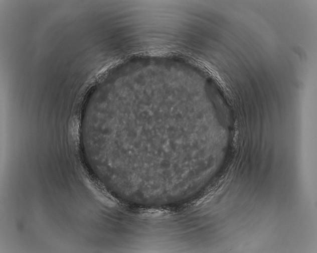 X0000111160542200907281155