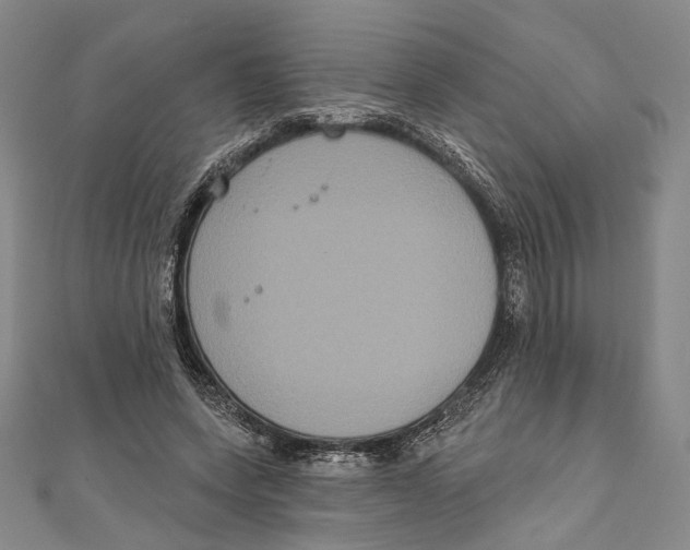 X0000111160543200907281155