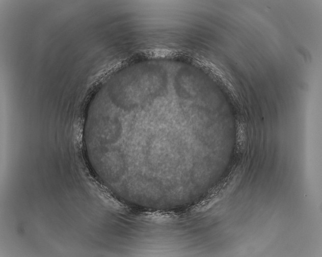 X0000111160545200907281155