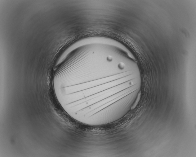 X0000111160546200907281155