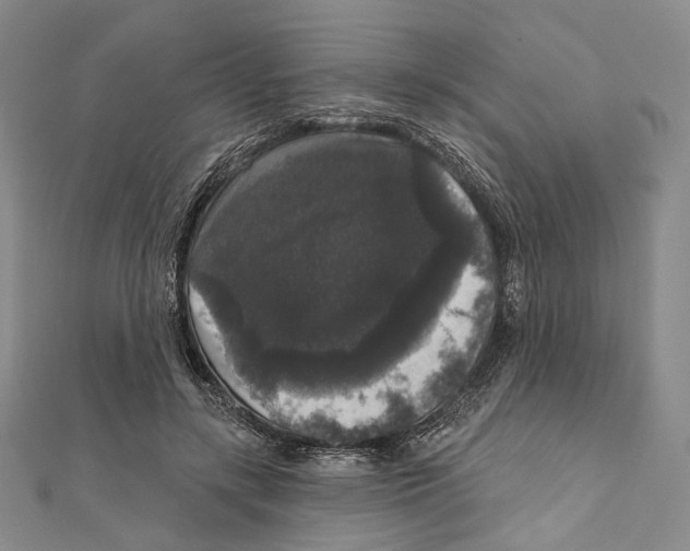 X0000111160547200907281155
