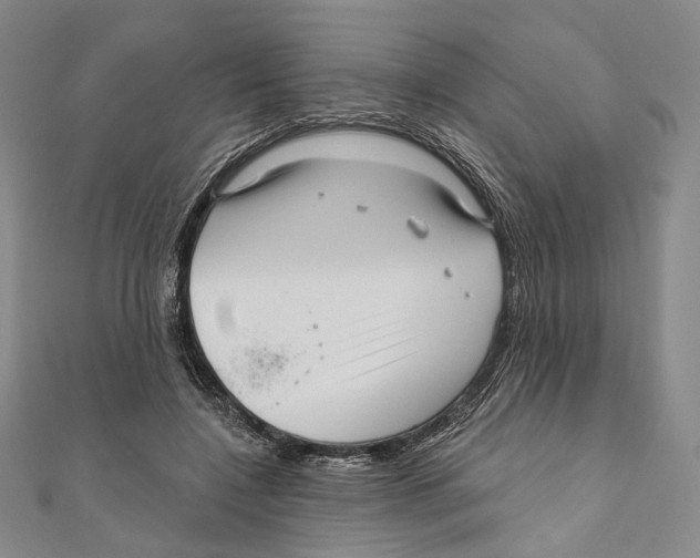 X0000111160548200907281155