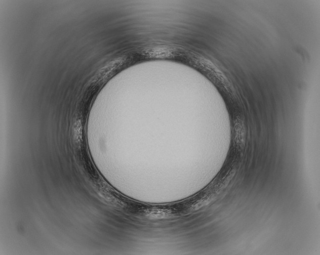 X0000111160549200907281155