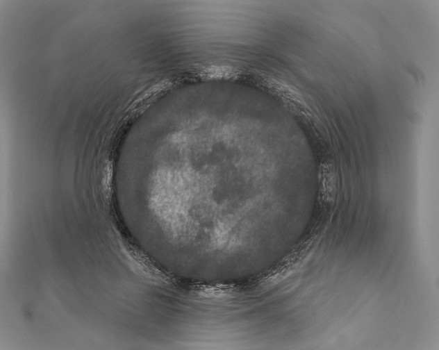 X0000111160550200907281155