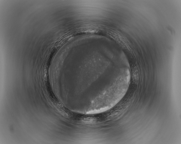 X0000111160551200907281155